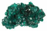 Lustrous, Dark Green Dioptase Crystal Cluster - Namibia #78703-1